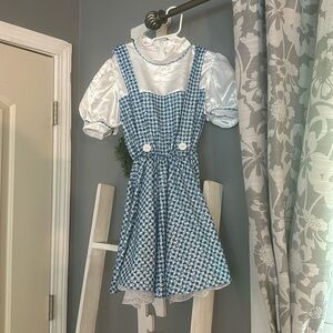 Girls Dorothy from Wizard of Oz costume.